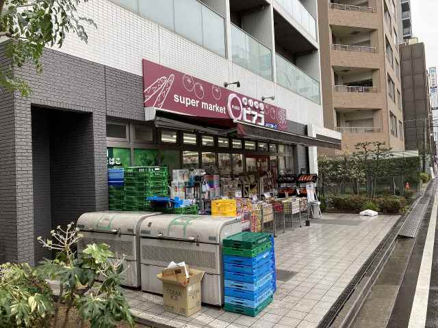 コンビニ　ｍｉｎｉピアゴ（コンビニ）まで208m