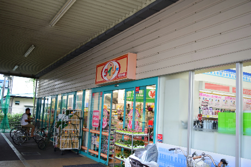 スーパー　ザ・ダイソー 平塚河内店（スーパー）まで608m