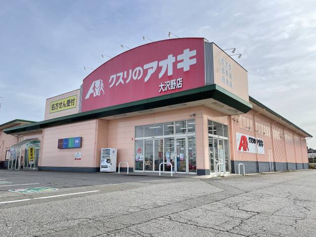 ドラックストア　クスリのアオキ大沢野薬局（ドラッグストア）まで1003m