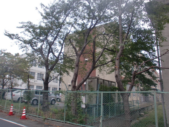 その他　名古屋市立南陽中学校（その他）まで543m