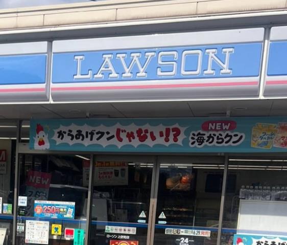 コンビニ　スリーエフ上依知店（コンビニ）まで709m