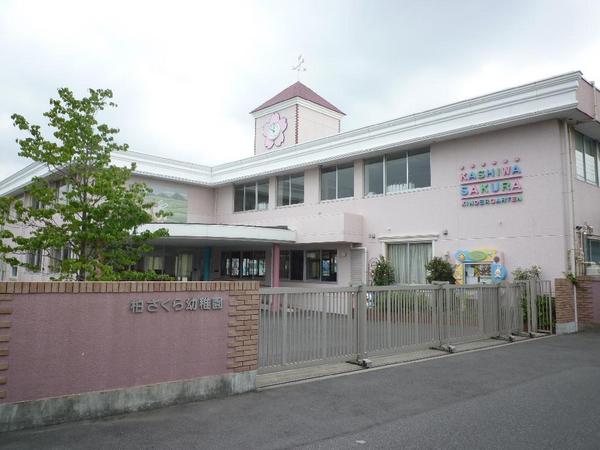 幼稚園・保育園　柏さくら幼稚園（幼稚園・保育園）まで691m