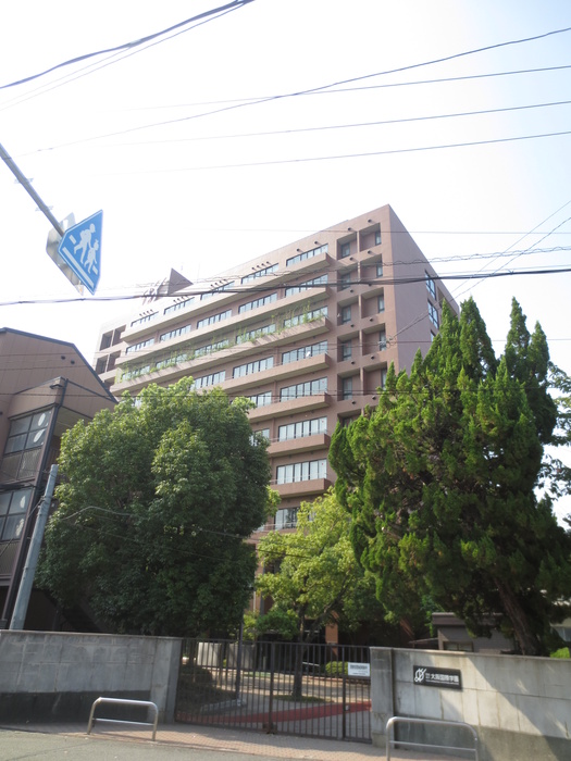 大学・短大　大阪国際大学（大学・短大）まで1100m