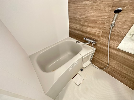 バス・シャワールーム　※別部屋の写真です