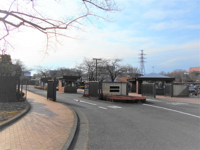 大学・短大　国立音楽大学（大学・短大）まで1200m