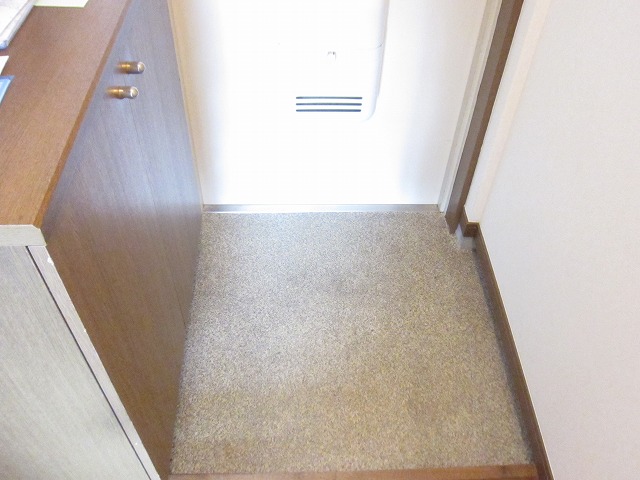 玄関　※間取りに相違がある場合は現況優先です。別部屋参考写真