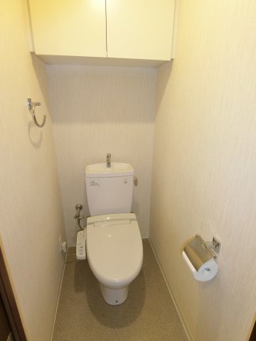 ランドシティ玉川学園ロイヤルテラスのトイレ写真