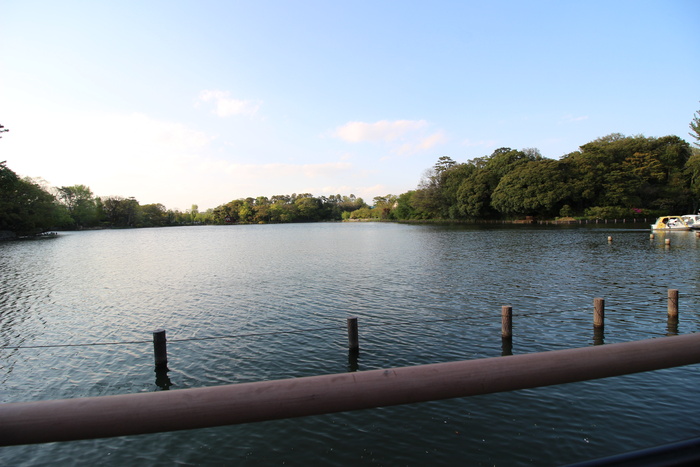 公園　洗足池公園（公園）まで1098m