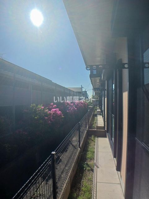 庭