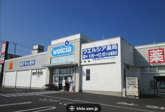 ドラックストア　ウエルシア 香取小見川2号店（ドラッグストア）まで115m