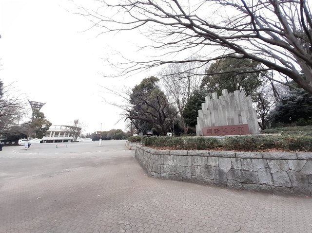 公園　淵野辺公園（公園）まで210m