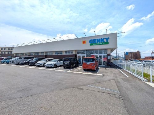 ドラックストア　ゲンキー 布袋下山店（ドラッグストア）まで696m