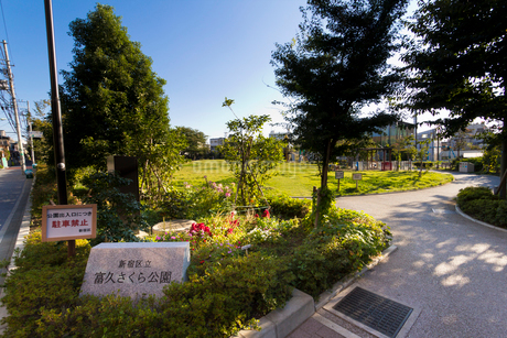公園　新宿区立富久さくら公園（公園）まで367m