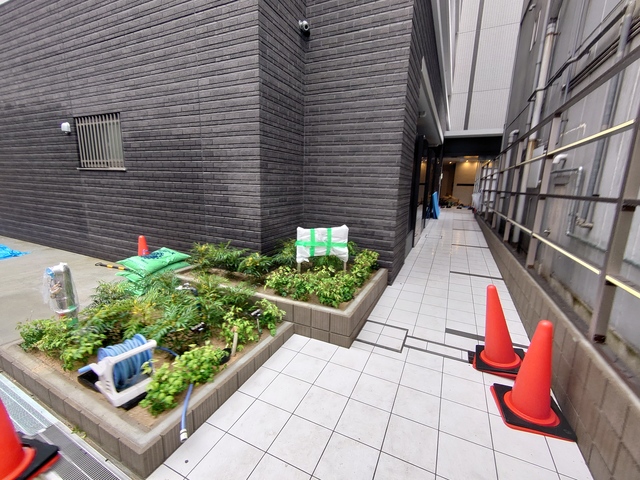 エントランス　明るいエントランスです。