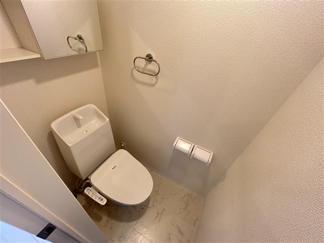 トイレ　同じ建築会社の物件のイメージ写真になります。