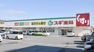 ドラックストア　スギ薬局能登川店（ドラッグストア）まで836m