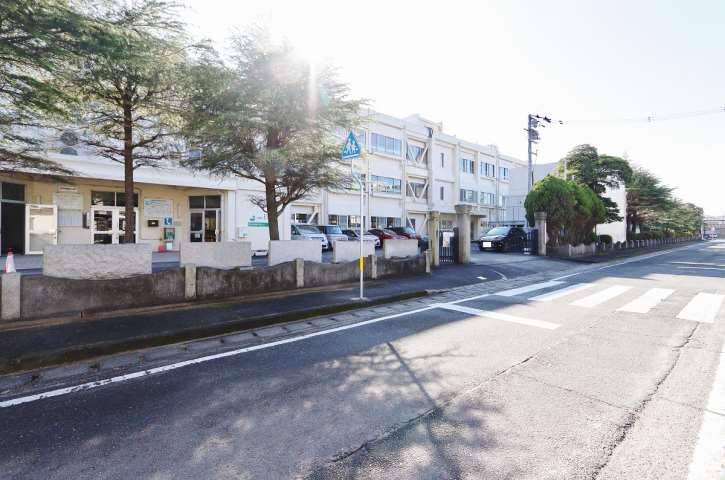 小学校　鳴門市林崎小学校（小学校）まで519m