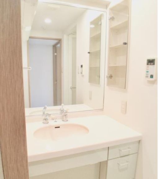 洗面設備　独立洗面化粧台付き