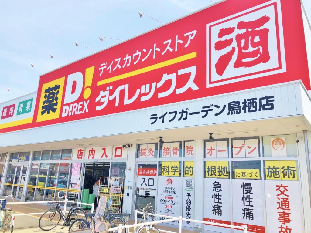 ショッピングセンター　ダイレックス ライフガーデン鳥栖店（ショッピングセンター）まで709m
