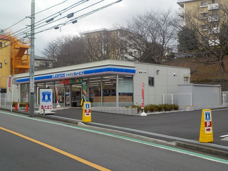 コンビニ　ローソン・スリーエフ 横浜神大寺三丁目店（コンビニ）まで802m