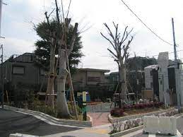 公園　経堂けやき公園（公園）まで1355m