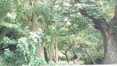 公園　八幡公園（公園）まで400m