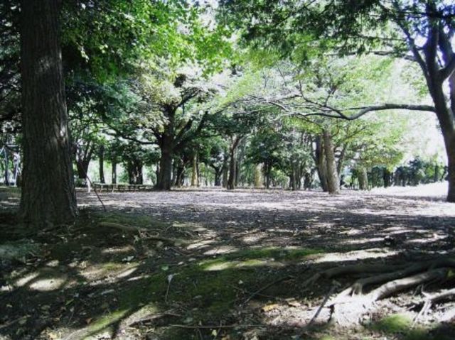 公園　公園（公園）まで509m