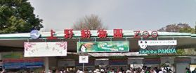 その他　上野動物園表門（その他）まで1019m