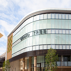 その他　グランツリー（その他）まで741m