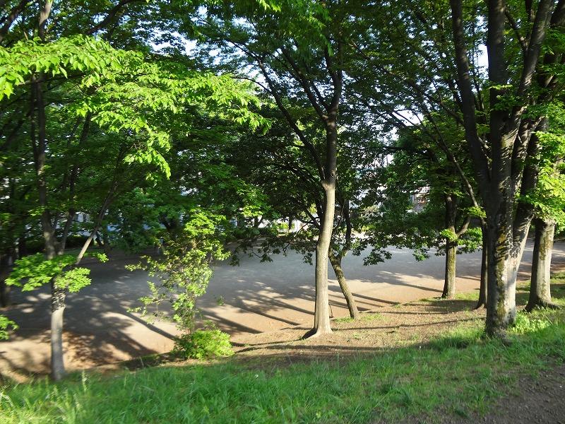 公園　金森わさび田児童公園（公園）まで210m