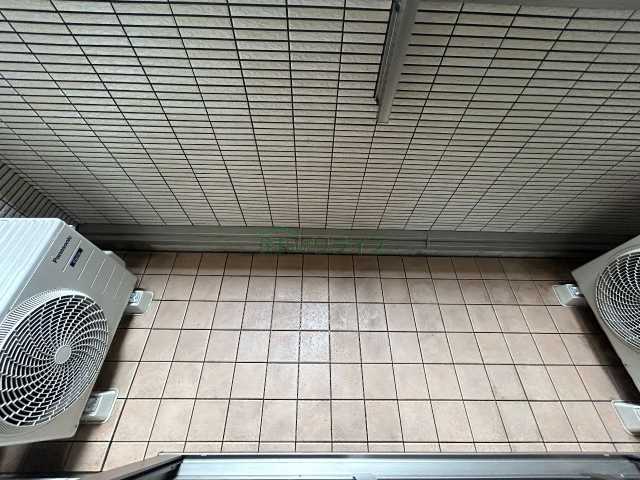 バルコニー　モンステラ