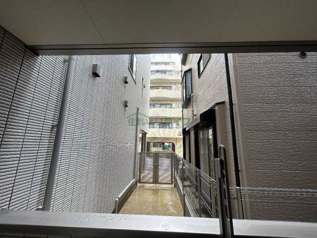 眺望　モンステラ