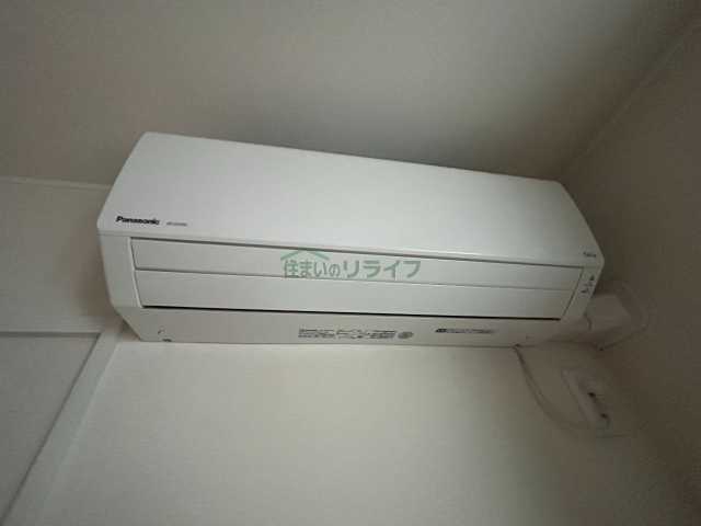 その他設備　モンステラ