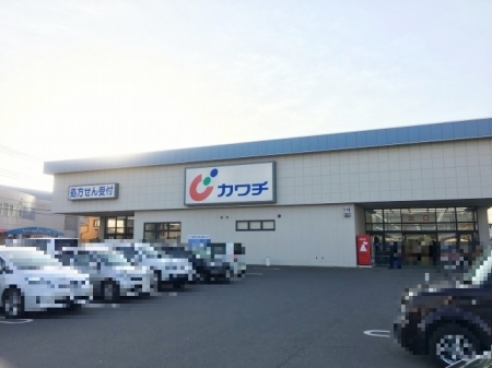 ドラックストア　カワチ薬品 自治医大店（ドラッグストア）まで250m