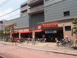 スーパー　ピーコックストア 石川台店（スーパー）まで500m