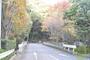 公園　須磨離宮公園（公園）まで624m