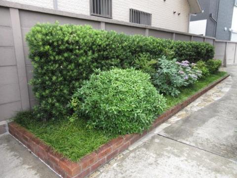 庭　庭（イメージ）