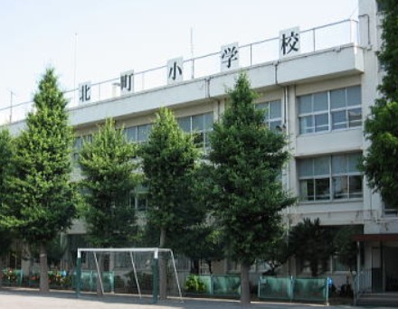 小学校　練馬区立北町小学校（小学校）まで798m