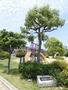 公園　南野田りんご公園（公園）まで961m