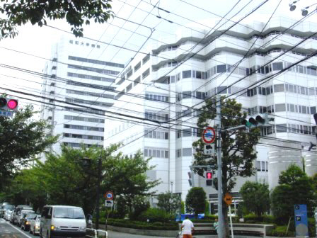 病院　昭和大学病院（病院）まで800m