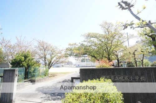 小学校　橿原市立晩成小学校（小学校）まで667m