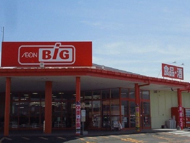 スーパー　ザ　ビッグ白石店（スーパー）まで710m