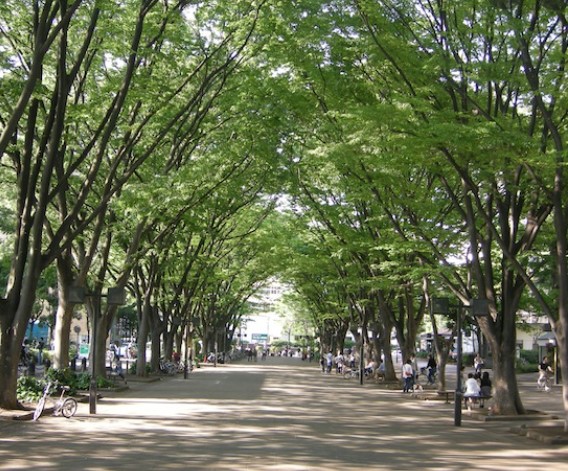 公園　JRA馬事公苑（公園）まで938m
