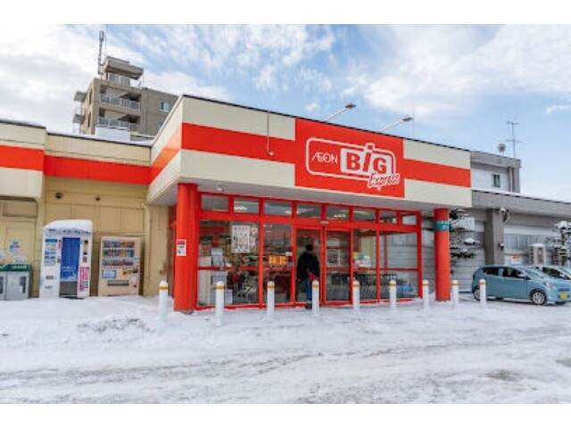 ショッピングセンター　ザ・ビッグエクスプレス平岸店（ショッピングセンター）まで881m