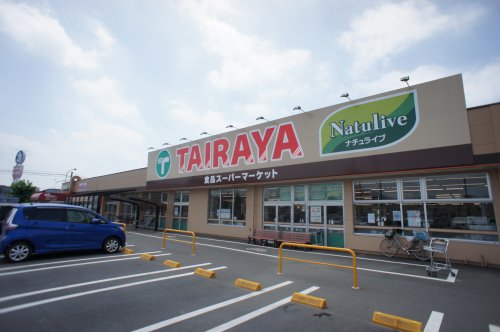 スーパー　エコスTAIRAYA(たいらや) 川島店（スーパー）まで1356m