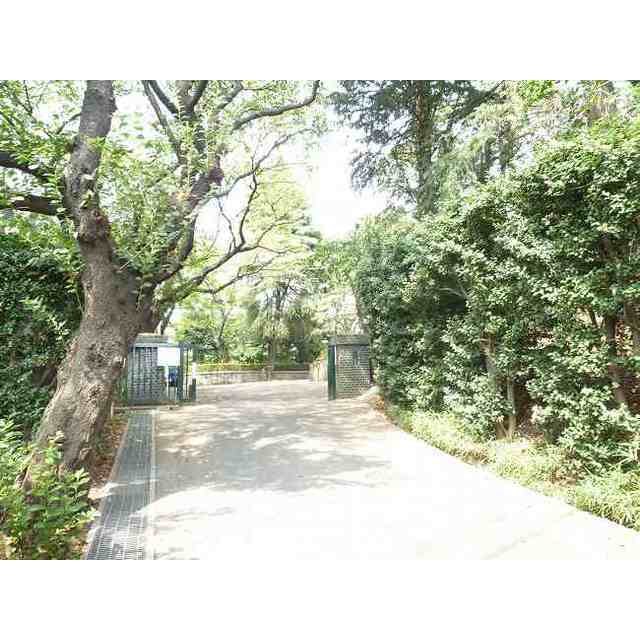 中学校　芝西中（中学校）まで880m