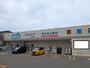 ドラックストア　ウエルシア薬局新潟寺尾店（ドラッグストア）まで803m