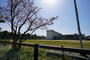 小学校　新潟市立坂井東小学校（小学校）まで665m