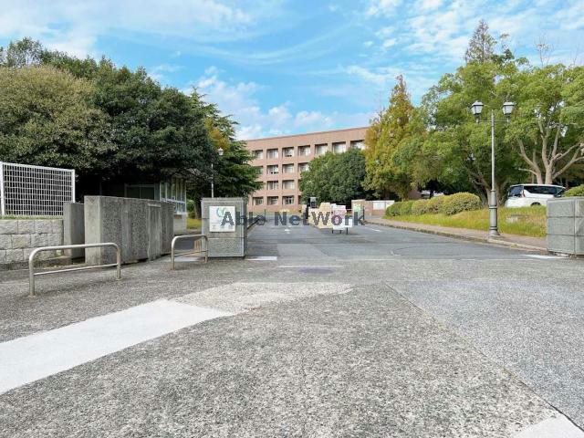 大学・短大　国立山口大学工学部（大学・短大）まで1301m