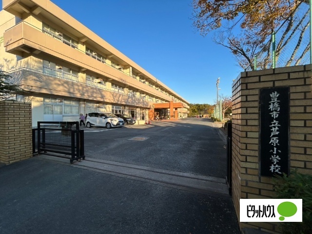 小学校　豊橋市立芦原小学校（小学校）まで1070m